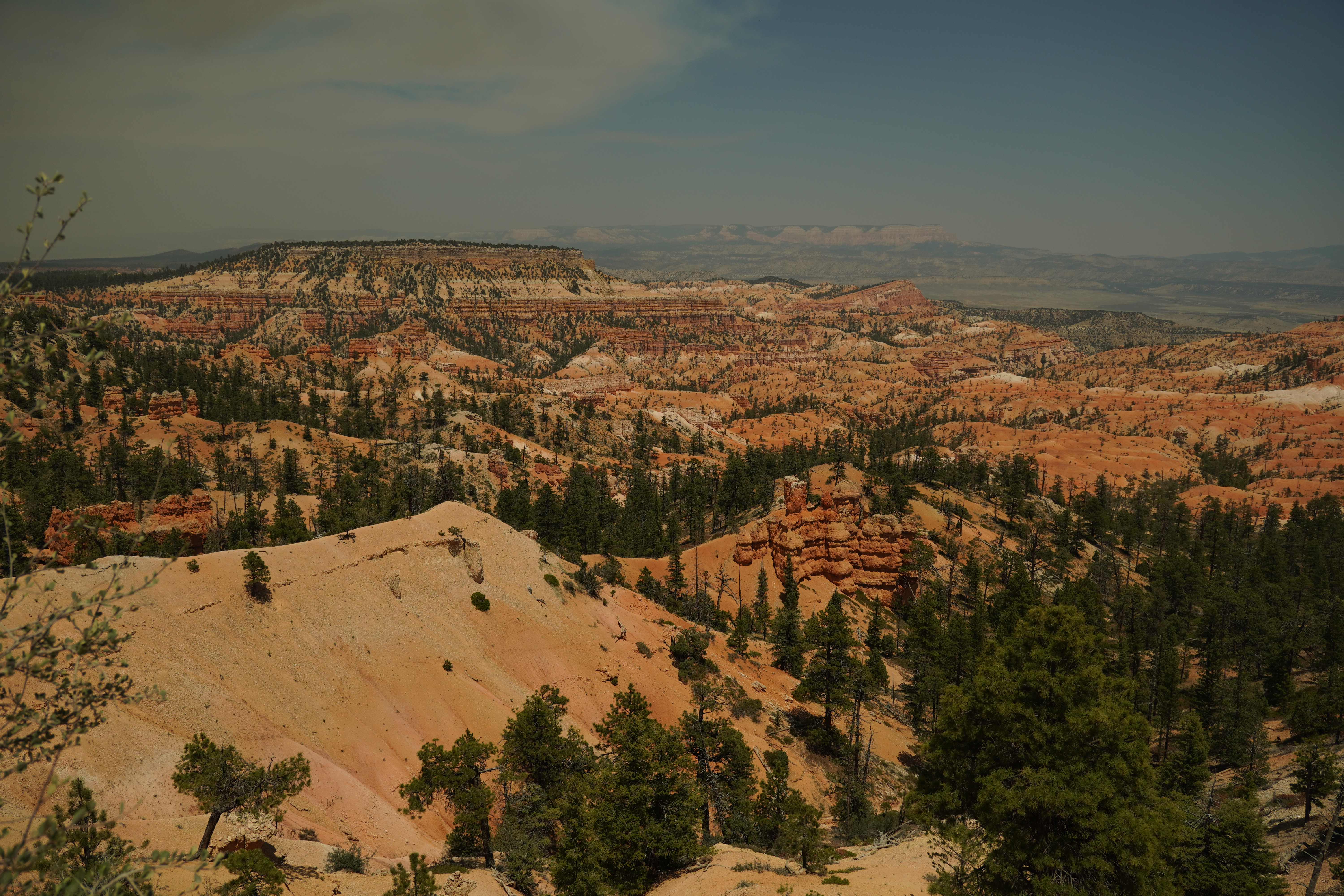 Bryce Canyon landscape