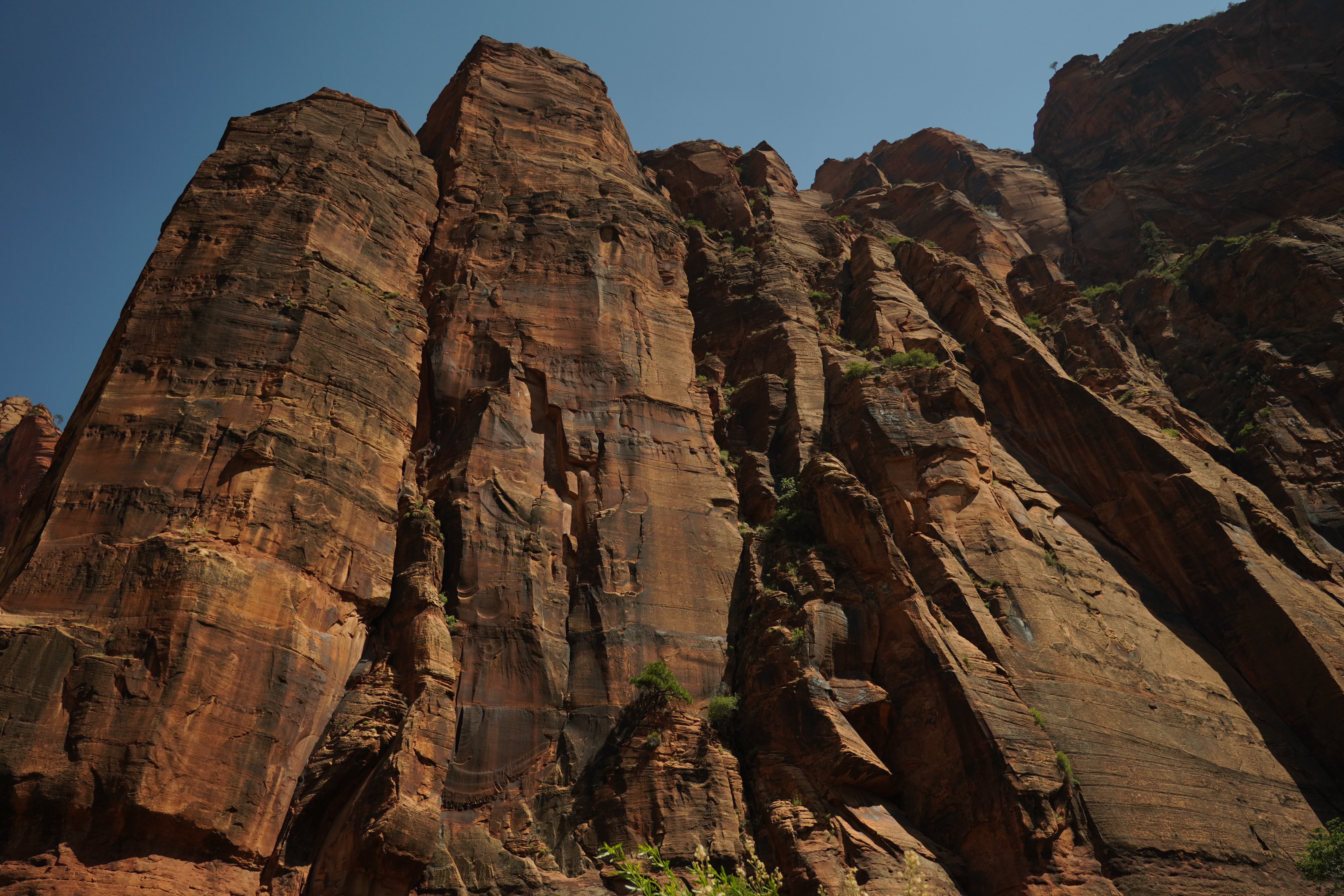 Zion cliffs closeup