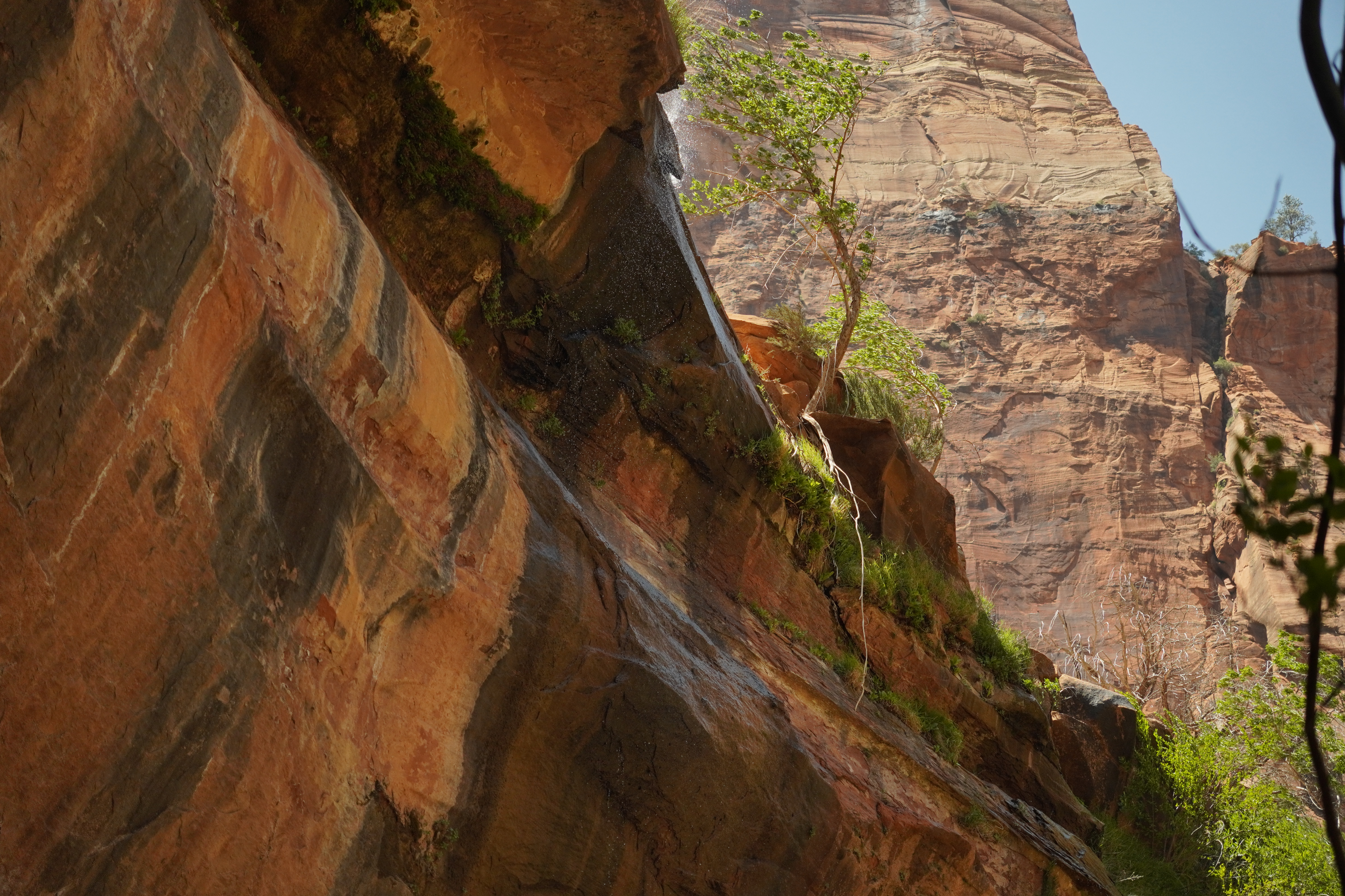 Zion rock formations